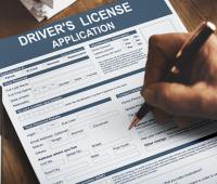Driving Licence Applications image 1